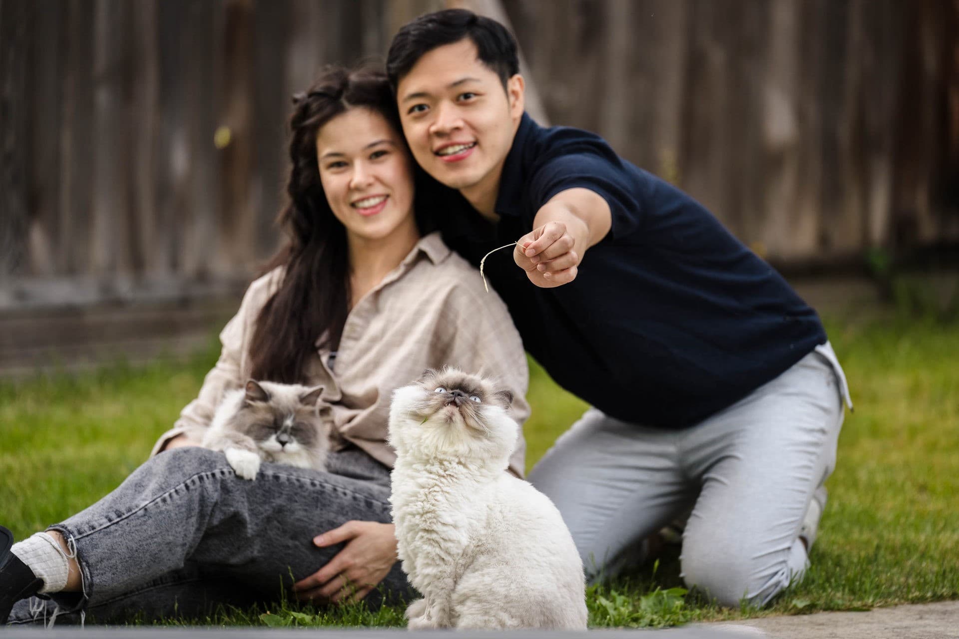 Vancouver Pet Photoshoot: Capturing Love, Life and Furry Friends